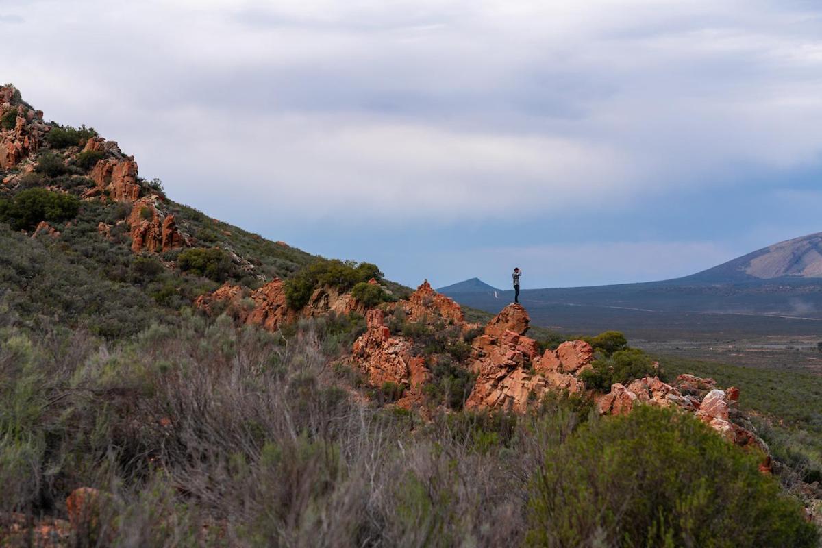 Gecko Rock Private Nature Reserve Goedgemoed Bagian luar foto